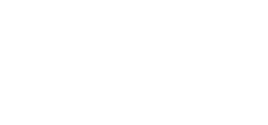 clinton_town_white_logo